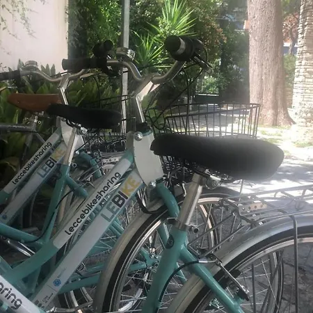 Bed and Breakfast Domus Salento & Con Parcheggio Privato In Loco